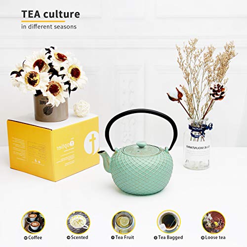Tea Kettle, Toptier Japanese Tetsubin Cast Iron Teapot with Infuser for