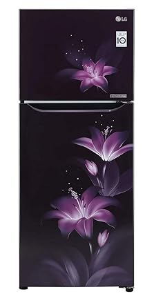 LG 260 L 2 Star Smart Inverter Frost-Free Double Door Refrigerator (GL-T292SPGY, Purple Glow, Convertible)