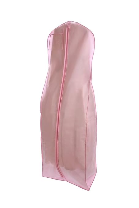 small dress bag