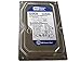 Western Digital Caviar SE (WD3200AAJS) 320GB 8MB Cache 7200RPM SATA 3.0Gb/s 3.5in Internal Desktop Hard Drive [Renewed]- w/ 1 Year Warranty