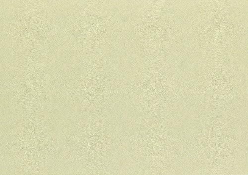 A4 120gsm Beige 168 Charming Pearl Paper Pack