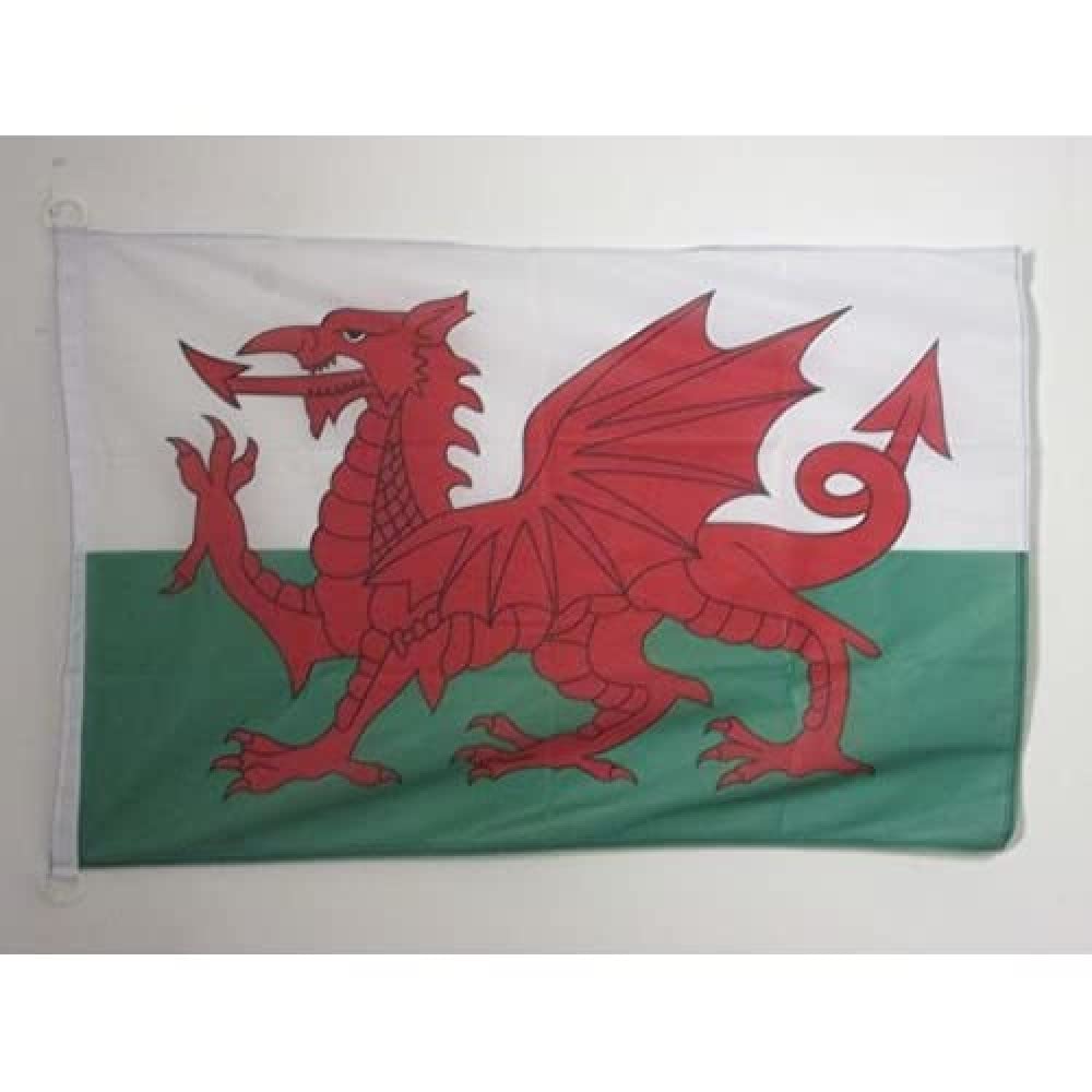 AZ FLAG - Wales Flag - 2x3 Ft - For Outdoor - Welsh Banner Knitted Polyester with Two Plastic Rings - Fade Resistant - Vivid Colors - 2' x 3' Feet - 90x60 Cm