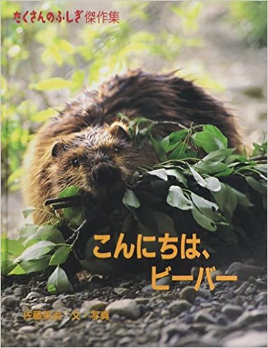 2位『こんにちはビーバー』
