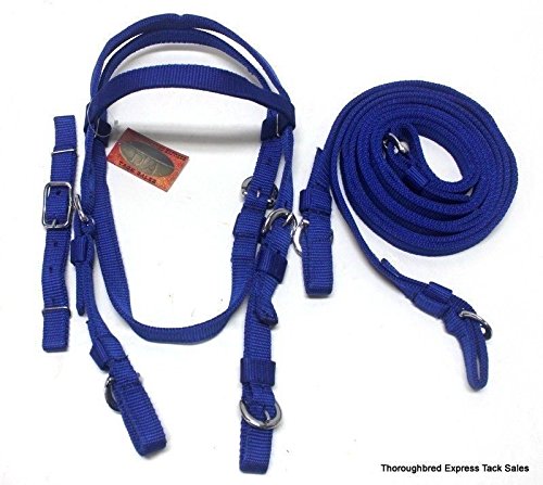Royal Blue Poly Nylon Mini Pony Bridle w/ Center Buckle Reins Western Tack