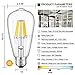 CRLight 8W 4000K LED Edison Bulb Daylight (Neutral White) 800LM Dimmable, 80W Equivalent E26 Medium Base, ST21(ST64) Vintage LED Filament Bulbs, 360 Degrees Beam Angle