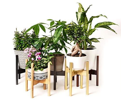Golden Plant Stands Indoor with Tray / Coaster - Adjustable Size fits 8 9 10 11 12 Inches Small / Large Pots - Bamboo Wood - Mid Century Modern Planter Holder