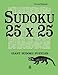 Sudoku 25 x 25: giant sudoku puzzles 6 by David Badger