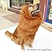 Looching 1Pcs Brown Lion Mane Costume Big Dog Lion Mane Wig Large Dog Costumes Wig Pet Festival Halloween Party Fancy Hair Clothes Dress with Ears(Neck 60-80 cm,Adjustable)