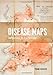 Disease Maps: Epidemics on the Ground
