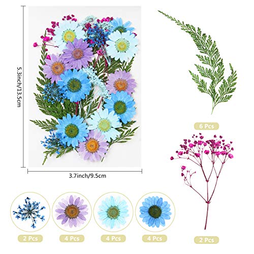 Real Dried Pressed Flowers and Leaves - 73pcs Mixed Multiple Dry Flower and Leaf with Tweezer for DIY Candel Resin Jewelry Nail Pendant Crafts Art Floral Decoration