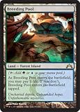 Magic: the Gathering - Breeding Pool (240) - Gatecrash - Foil