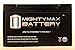 Mighty Max Battery ML12-6 .250TT - 6V 12AH Battery Replaces 10ah Enduring 3FM10 T2, 3-FM-10 T2