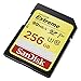 SanDisk 256GB Extreme SDXC UHS-I Memory Card - 90MB/s, C10, U3, V30, 4K UHD, SD Card - SDSDXVF-256G-GNCIN