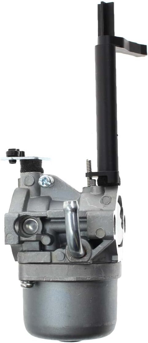 591378 Carburetor for Briggs & Stratton Snowblower 796321 696132 696133 796322 697351 699958 699966 698455 695918 694952 695919 695330 796323 695920 695328 Generator with Gaskets : Garden & Outdoor