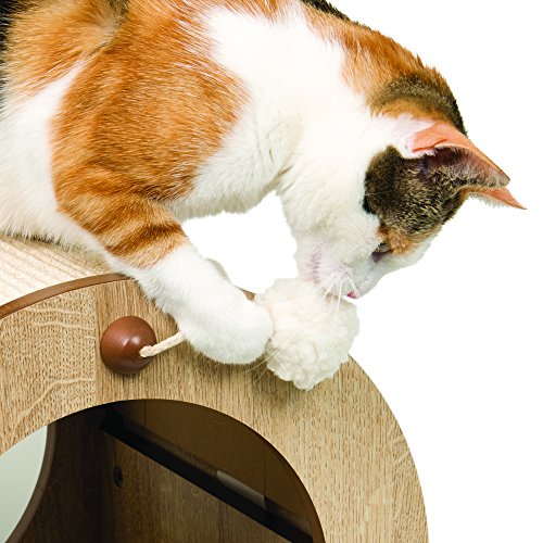 Catit 52101 Small Vesper Minou Bench Scratcher