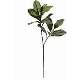 FlorisDecor 28'' Artificial Southern Magnolia Branches, Realistic Magnolia Tree Fork, Picks for Home D&eacute;cor, Real Touch Leaves, Set of 4