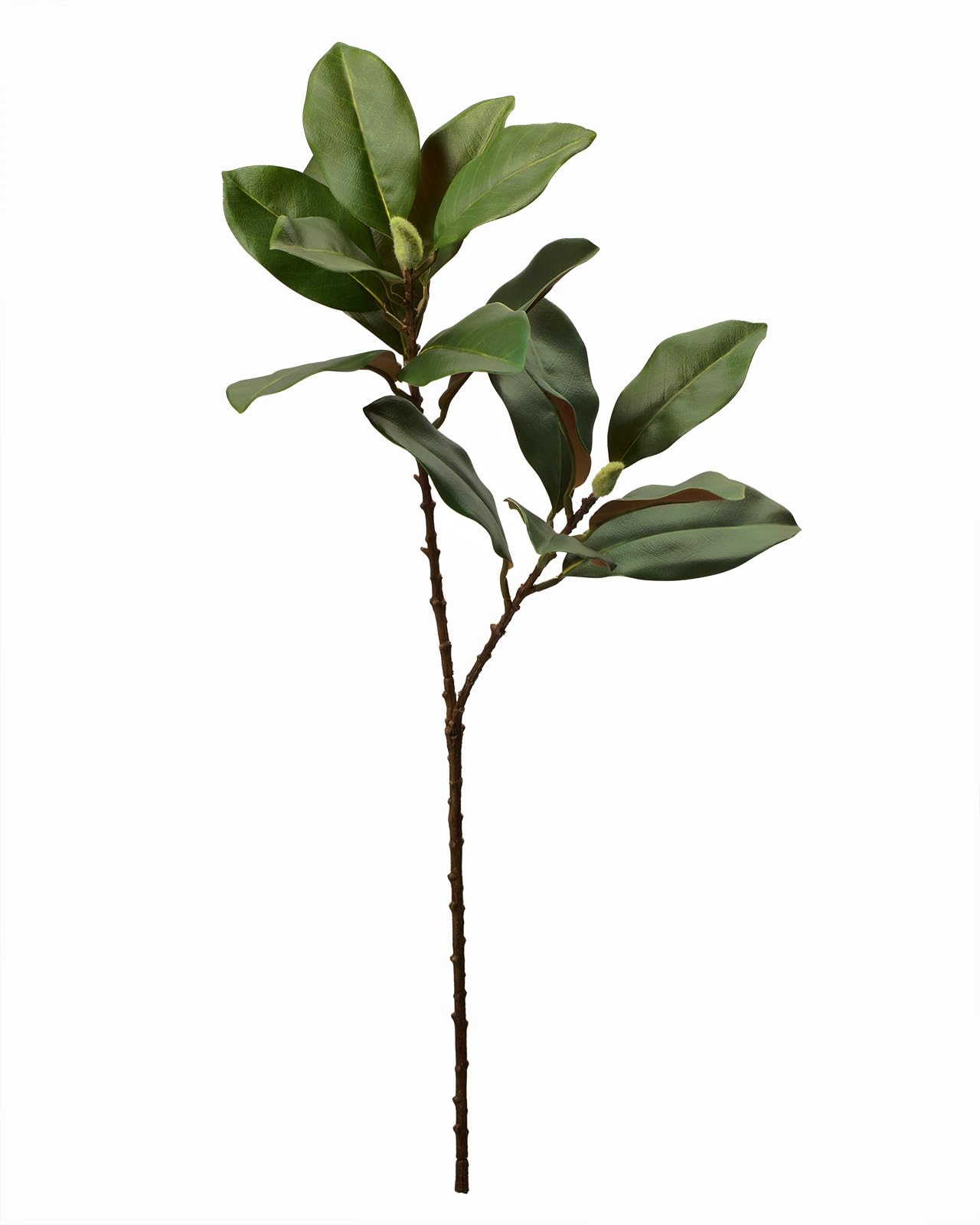 Photo 1 of 28'' Artificial Southern Magnolia Branches, Realistic Magnolia Tree Fork, Picks for Home Décor, Real Touch Leaves, Set of 4