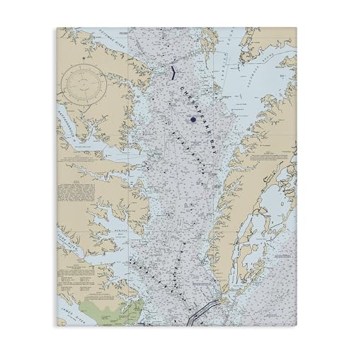 Stupell Industries 'Chesapeake Bay Water Flow Map Coastal'| Canvas Art