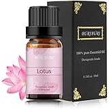 Lotus Essential Oil 100% Pure, Undiluted, Natural, Organic Aromatherapy Essential Oils 10ML