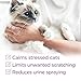 Comfort Zone 30 Day Starter Kit: 1 Cat Calming Diffuser & 1 Refill; Cat Pheromones Help Anxiety; Reduce Stress, Urine Marking, Scratching