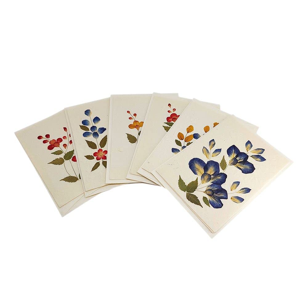 VIE Naturals Mulberry Greeting Cards, Pack of 6