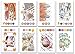 Chameleon Art Products, Chameleon Color Cards, 8 Designs - Sweet Treats