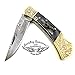 Best.Buy.Damascus1 Damascus pocket knife, Folding knife, Pocket Knife For Men, Knife Set with knife sharpeners Premium Quality gifts for men (Buffalo Horn Scrimshaw)