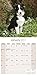 Australian Shepherd Calendar 2017 - Dog Breed Calendars - 2016 - 2017 wall calendars - 16 Month by Avonside
