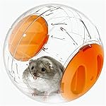 RunHigh Mini Hamster Exercise Ball Run-About 6 Inch Exercise Ball