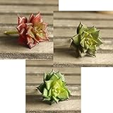 Supla 3 PCS Small Faux Succulents Unpotted Fake Plants Succulent stem DIY Succulent Wreath Craft Artificial Plant Fake Land Lotus Landscape Fake Flower Arrangement Garden Decor Home Office Decoration