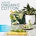 Seventh Generation Organic Cotton Tampons with Comfort Applicator Super Absorbency, White, 36 Count (Pack of 2)
