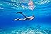Seaview 180 Topside Snorkel Fins - Rock Safe Walkable Swimming Flippers w/ Neoprene Boot - Swim Fins Adult for Lap Swimming - Short Flippers for Swimming Adult Women & Men w/ Mesh Bag