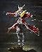 Bandai Tamashii Nations S.I.C. Kamen Rider Wizard Flame Doragon and All Doragon Set 