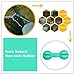 Bone Shape Dog Dental Toy Slow Eat Free BPA Rubber 2 Pack Playing Toy Balls for Dog