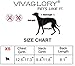 VIVAGLORY Rip Stop Dog Life Vest, Swimming Vest with Handle, Buoyancy for Doggy Puppy, Dog Life Jacket for Swimming & Boating, XS, Blue