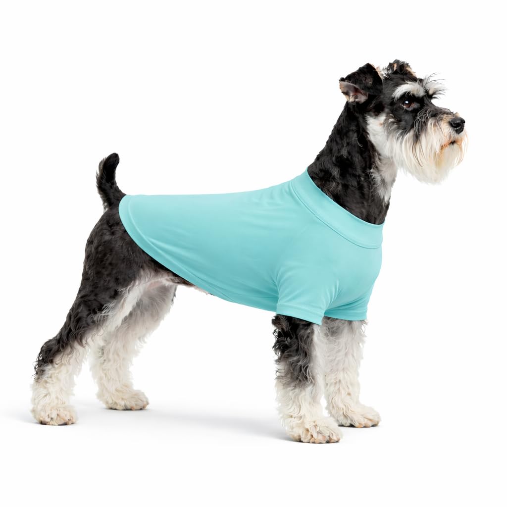 LoveLongLong Spring Summer Cooling Dog T-Shirt with UV Protection and Moisture-Wicking Fabric Blank Color Turquoise S