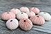 Nautical Crush Trading Sea Urchins Shells for Air Plants - 10 Pink (1-2