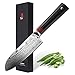 TUO Cutlery Damascus Santoku Knife 5.5 - Japanese 67 Layers VG-10 Damascus Steel with Case - Ring Series