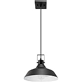 GLOBE Electric 44476 1-Light Indoor/Outdoor Pendant Light, Matte Black Finish, Textured Socket Detail, Adjustable Hanging Hei