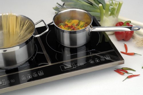 berghoff portable induction cooktop