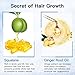 MayBeau Hair Growth Serum, New Version Hair Loss Treatment Product for Women Men, Restore & Regrowth Thick and Strong Hair in 28 Days(2 fl.oz)