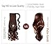 SEIKEA 20 Inch Curly Ponytail Extension Clip in Wrap Around Synthetic Hairpieces for Women - Gold Blonde Mix