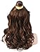 Brown Victorian Costume Wig Southern Woman Wig for Women - One Size