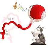 51yR1f1EqkL. AC UL160 SR160,160