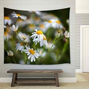 Field of Daisies on Meadow at Spring Time - Fabric Wall Tapestry Home Decor - 51x60 inches