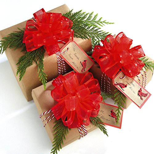 Organza Pull Bow Value Pack - 24 red bows