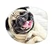 Cute Pug Dog Bath Mat Set,3 Piece Bathroom Mats Set Non-Slip Bathroom Rugs/Contour Mat/Toilet Cover by TEYAYA