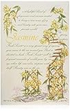 Fresh Scents Scented Sachets - Jasmine, Lot of 6