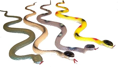 rubber snakes amazon