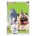 GenericJINCHENG (16 Pack) Secret Life of Pets Part 2 Party Plastic Loot Treat Candy Favor Bags Lootbags (Plus Party Planning Checklist by Mikes Super Store)